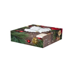 2175-HOLW-box